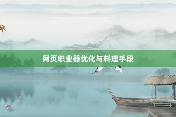 网页职业器优化与料理手段