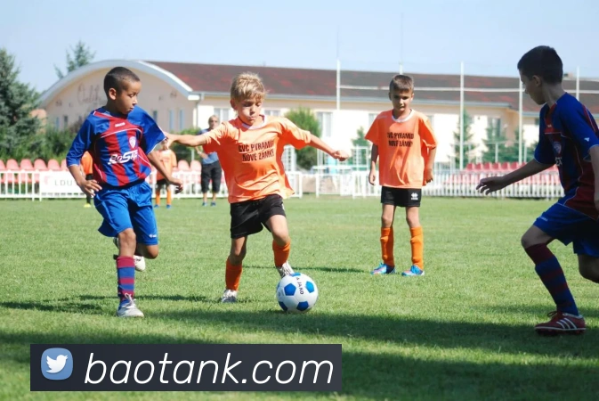 来球网免费直播nba平台生态图